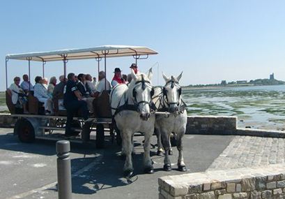 Location calèche, promenade, balade